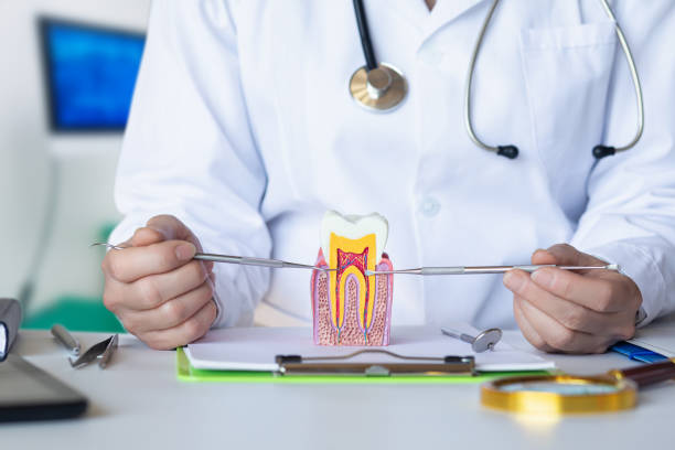 Best Emergency TMJ Treatment in Country Club Hls, IL